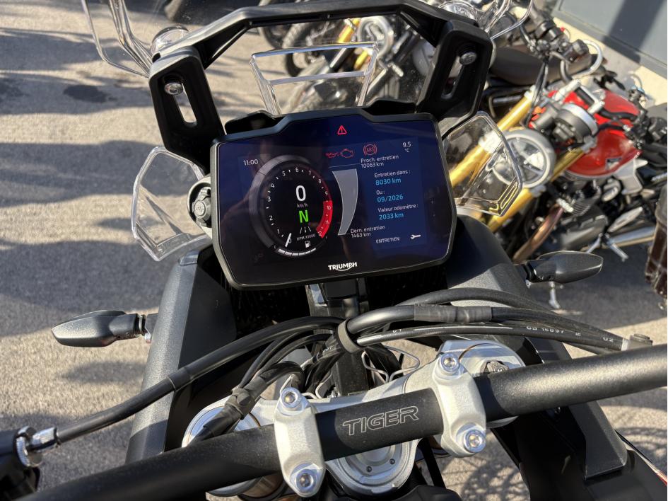 TRIUMPH TIGER 900 RALLY PRO