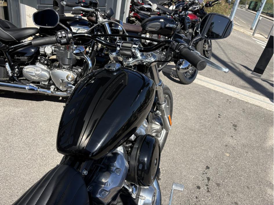 HARLEY-DAVIDSON SOFTAIL STANDARD 1745